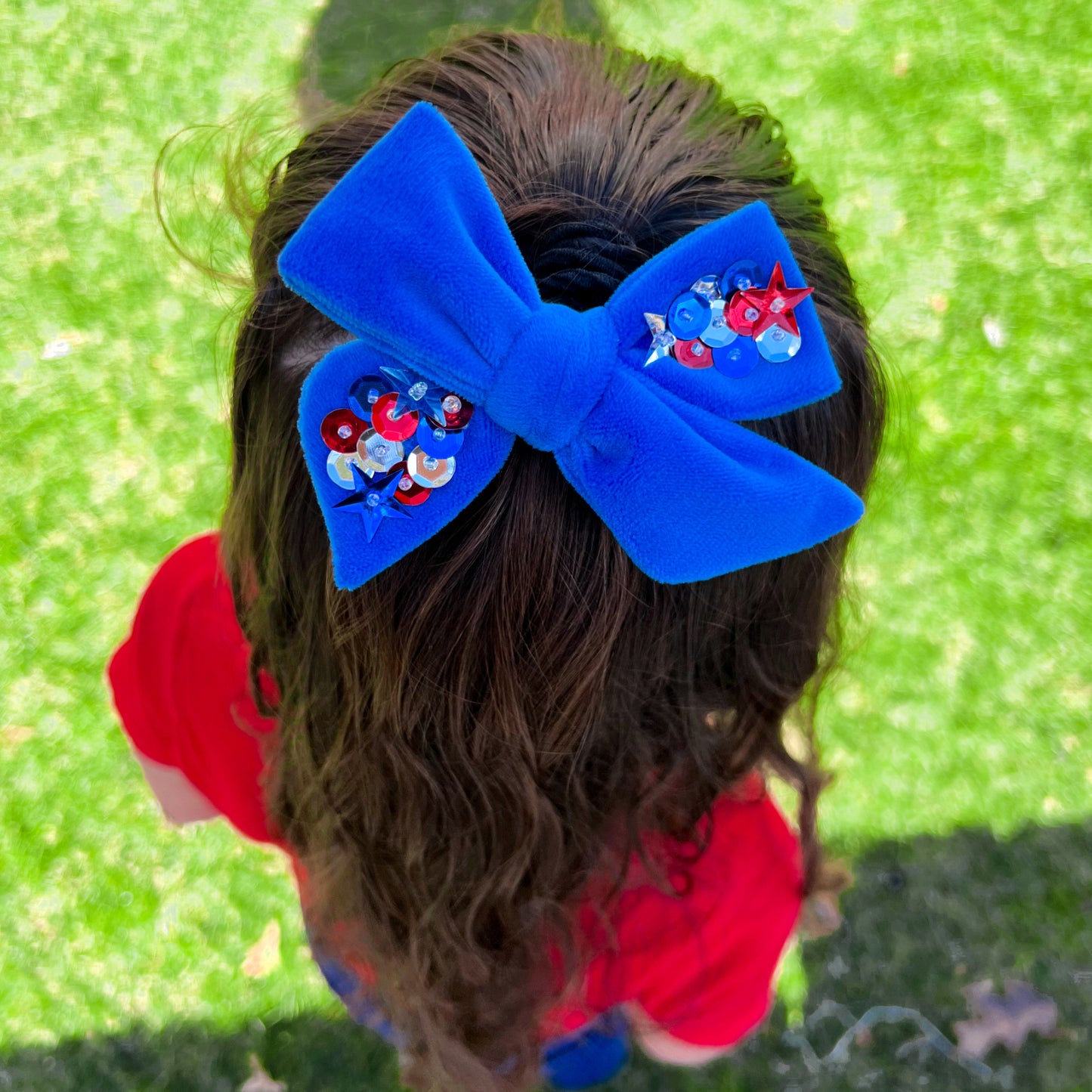 Blue Velvet Sequins Bow